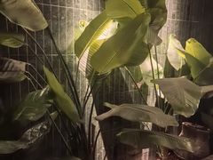 -涟LIAN·泰式按摩·MASSAGE·SPA(华强北店)