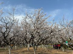 -云龙湖旅游景区