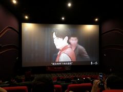 -武汉华夏国际影城(鲁广店)