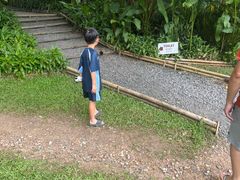 -大象粑粑造纸公园