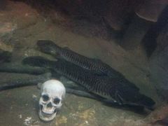 -北海·海洋之窗
