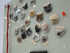 -四月宠物医院·猫专科·心脏专科·内科(转塘店)