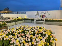 -Blue Concept Cafe&Farm·關於藍
