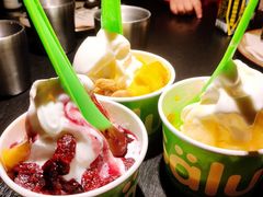 -Salud撒露欧洲冻酸奶(蓝色港湾店)