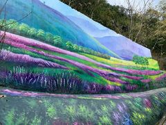 -广州白江湖森林公园