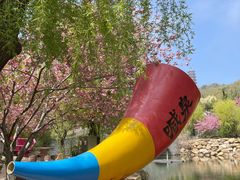 -石岛赤山风景区