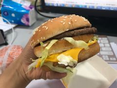 -麦当劳(花园北路店)