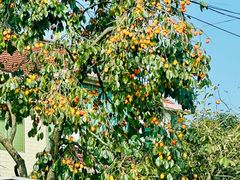 -东天目山风景区