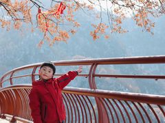 -少华山国家森林公园