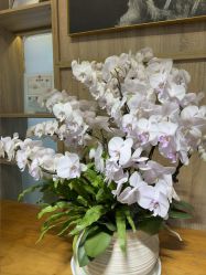 -百秀名媛纹绣美学护肤中心