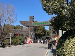 -溱湖国家湿地公园