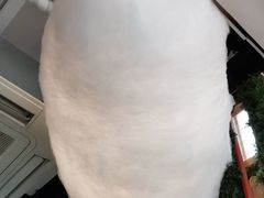 -南城十里潮汕鲜牛火锅·鲜虾生滚粥(融汇老商埠店)