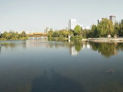 -洛龙公园