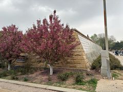 -元大都城垣遗址公园