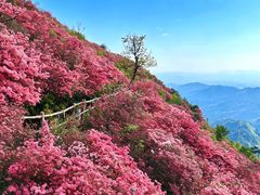 -木兰云雾山