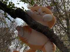 -西安电影制片厂