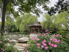 -西安青龙寺遗址景区