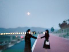 -朝阳正码头