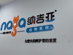 -纳吉亚猫专科动物诊疗中心(蒋宅口分院)