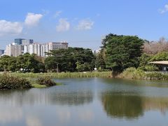 -福田红树林生态公园