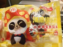 -海底捞火锅(公益西桥店)