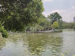 -翠湖公园