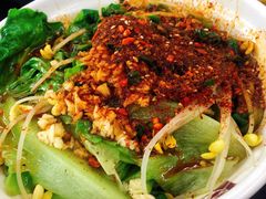 油泼菠菜面-老陈婆手工面庄