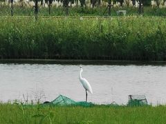 -春花秋色城市公园