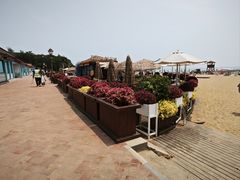 -青岛第二海水浴场