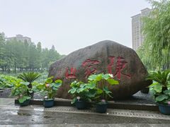 -陈家山荷花公园