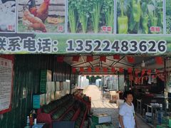 -西瓜小镇