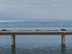 -海堤纪念公园