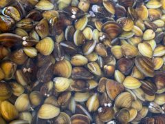 -红旗山庄(圭峰山店)