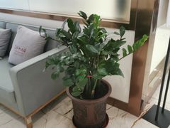 -优诺口腔·VIP尊享中心(爱建机构)