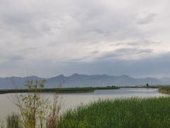 -哈素海
