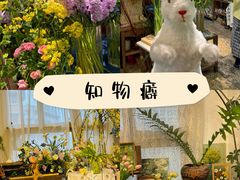 -知物癖(牛王庙店)