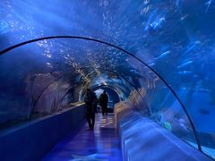 -太平洋海底世界