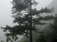 -骏途旅游