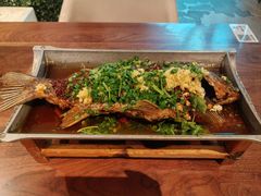 -树厨贵州菜(花果园购物中心店)