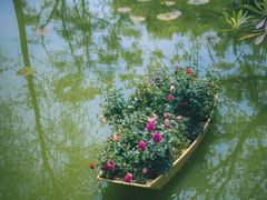 -人民公园(罗湖区)