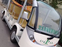 -龙大花卉苗木市场