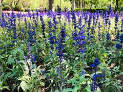 -朝阳公园游乐园