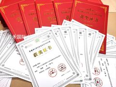 -佳禾国际美术书法教育(仁恒伊势丹校区)