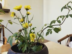 -小茶闲舍·观景商务茶馆(广州塔店)