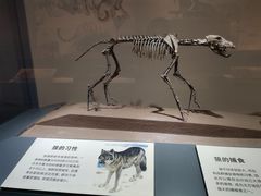 -大庆市博物馆