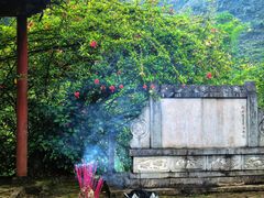 -靖西鹅泉风景区