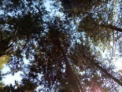 -长春净月潭风景名胜区