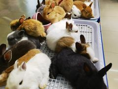 -三旗百汇商品城