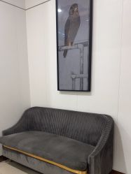 -AIST爱思特医疗美容医院