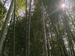 -汇龙潭